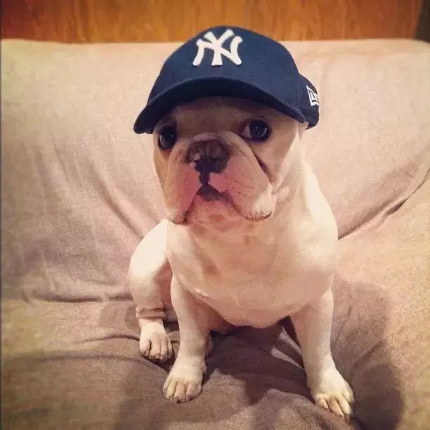 有个喜欢你的女生,有个喜欢的人真好