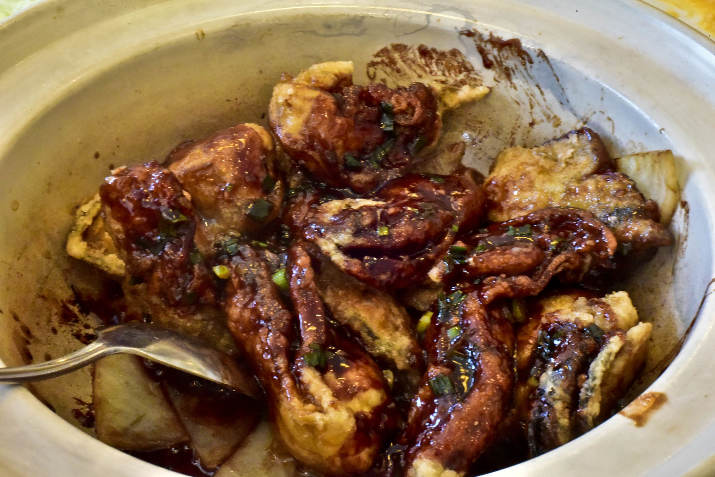 兔子游云南,兔子游老君山视频