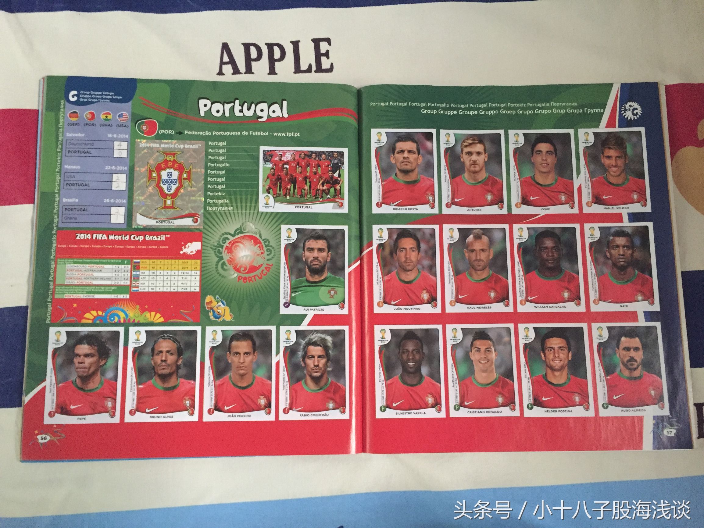 帕尼尼世界杯贴纸,帕尼尼2022世界杯收藏贴纸