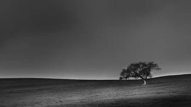 给摄影爱好者的十二条摄影经验,看完这组摄影作品你还淡定吗