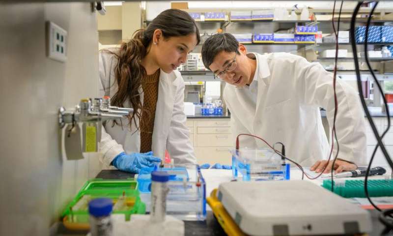 肠癌疫苗研制新进展,研究出抗癌疫苗