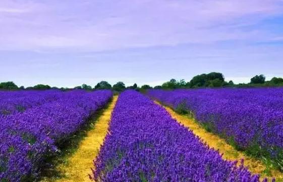 东莞最值得去的四大景点,东莞有几个旅游景点