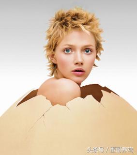 鸡病诊断与防治图谱,鸡病快速判断处理方法大全图解