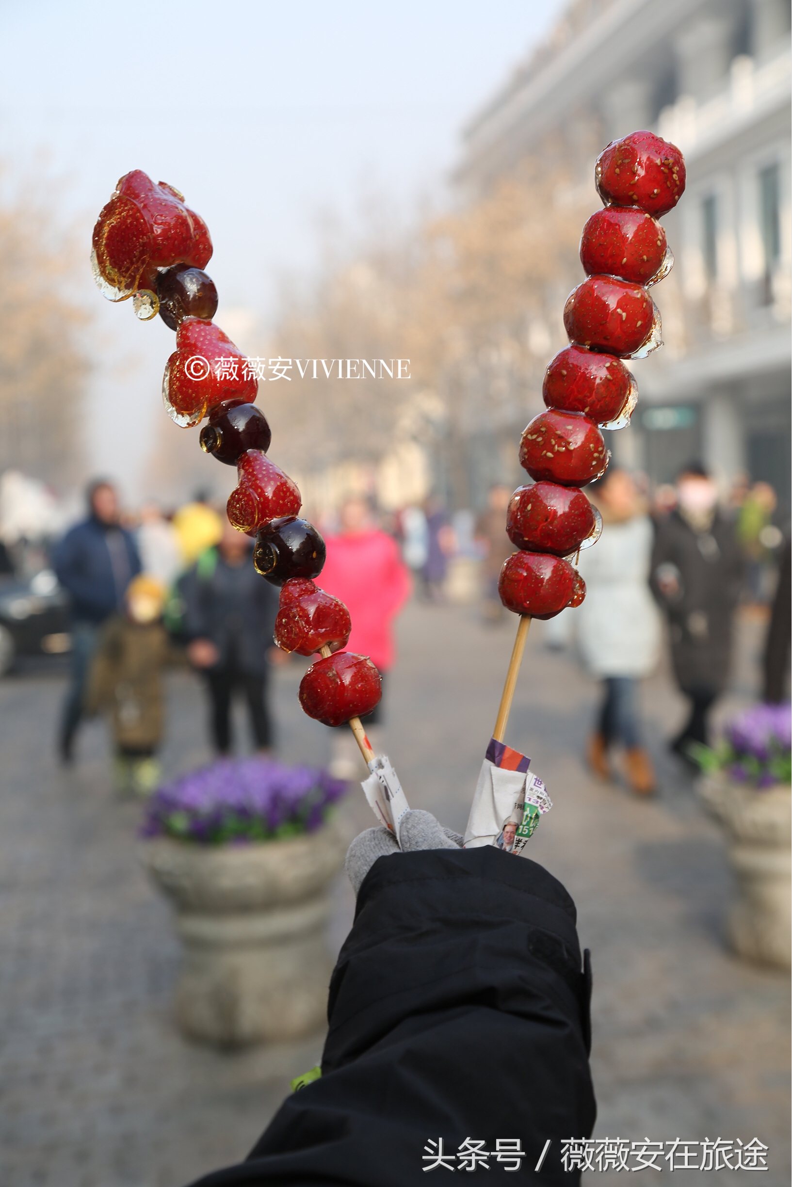 北国冰城之旅,奔赴冰城哈尔滨感受北国浪漫