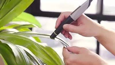 神奇智能的画笔,神奇画笔能画出渐变色