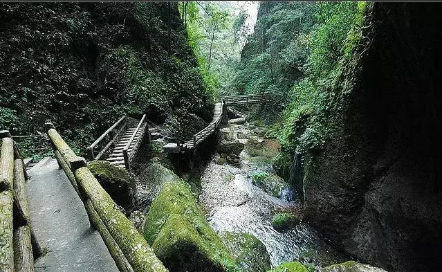 世界双遗峨眉山,双遗马拉松青城山免票吗