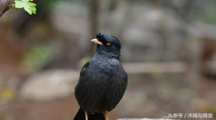 槽点满天飞每日一冷NO.10