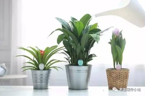 小站日报:万达并购北欧最大院线;摩拜单车获富士康投资