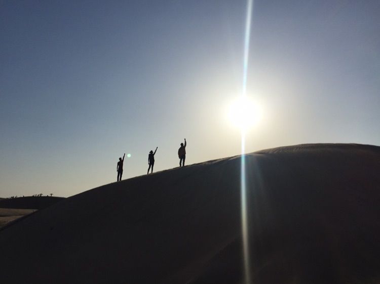 我爱远方风景,我爱远方和自由