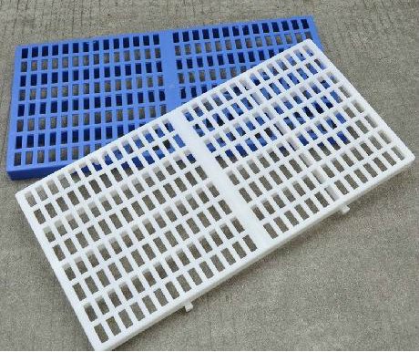 新手养兔子的正确方法,教新手养兔子的视频