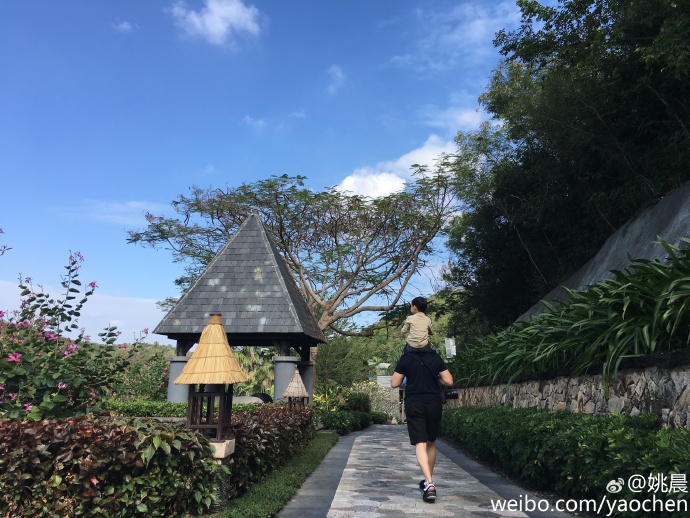 安吉考拉的视频,安吉考拉海边度假