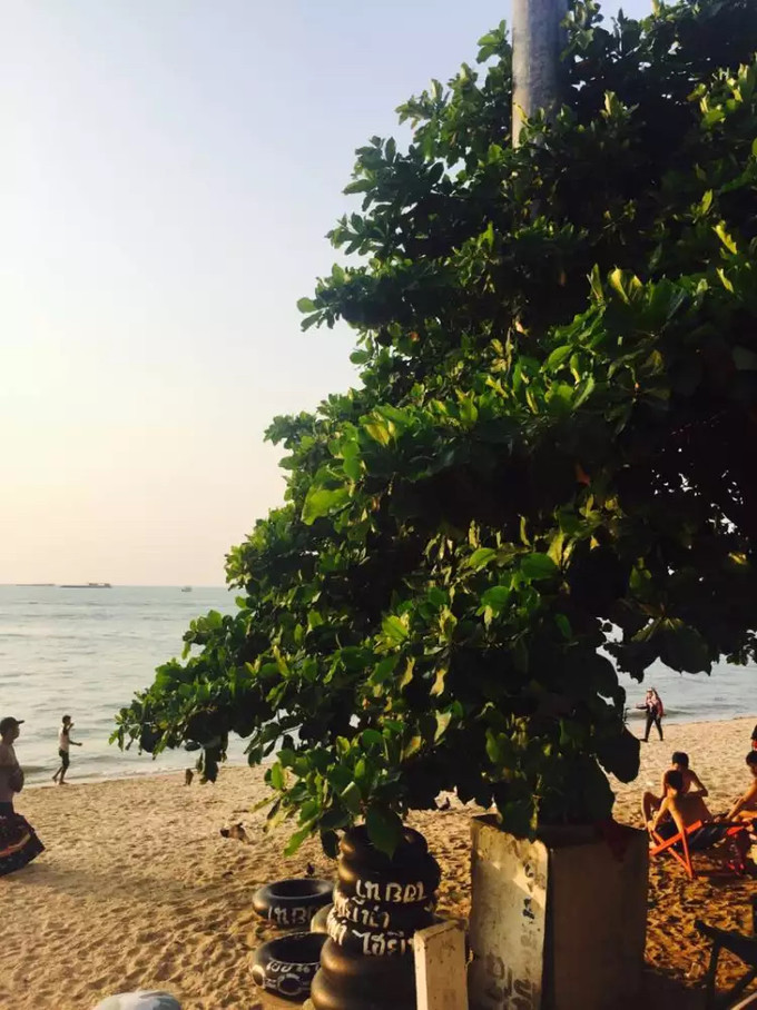 泰国曼谷芭提雅华欣7天自由行 (泰国华欣与芭提雅是一个地方吗)