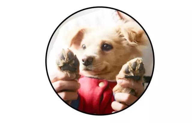 免洗泡沫十大排行榜,免洗泡沫洗手液测评