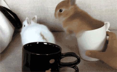 神奇的奇字,网络一些奇形怪状的字