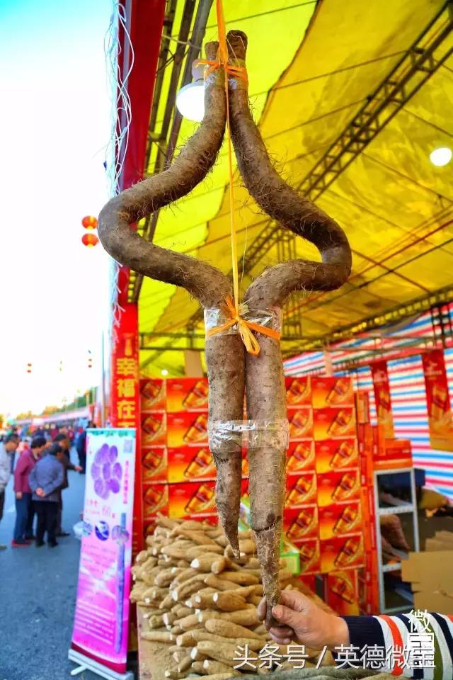 英德美丽的花街,英德花街