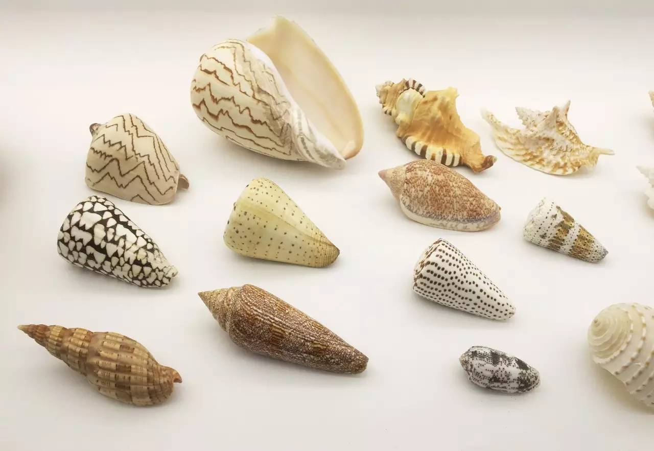 聂鲁达说,没有玩具我就没法活!那么,来看看大诗人怎么活的吧