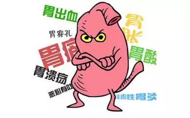 健康照护指南,健康养生小知识养出好胃