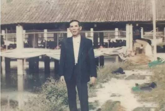 这个二愣子总裁和鸡睡了20年，还把一家鸡场干到了2000亿，全球的鸡都得管他叫爸爸！