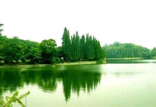 南宁旅游游山玩水景点推荐,南宁周边农家乐景点推荐