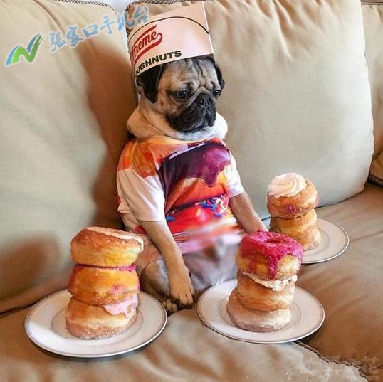 张家口新闻联播回放10月21号,张家口今日头条电视台新闻