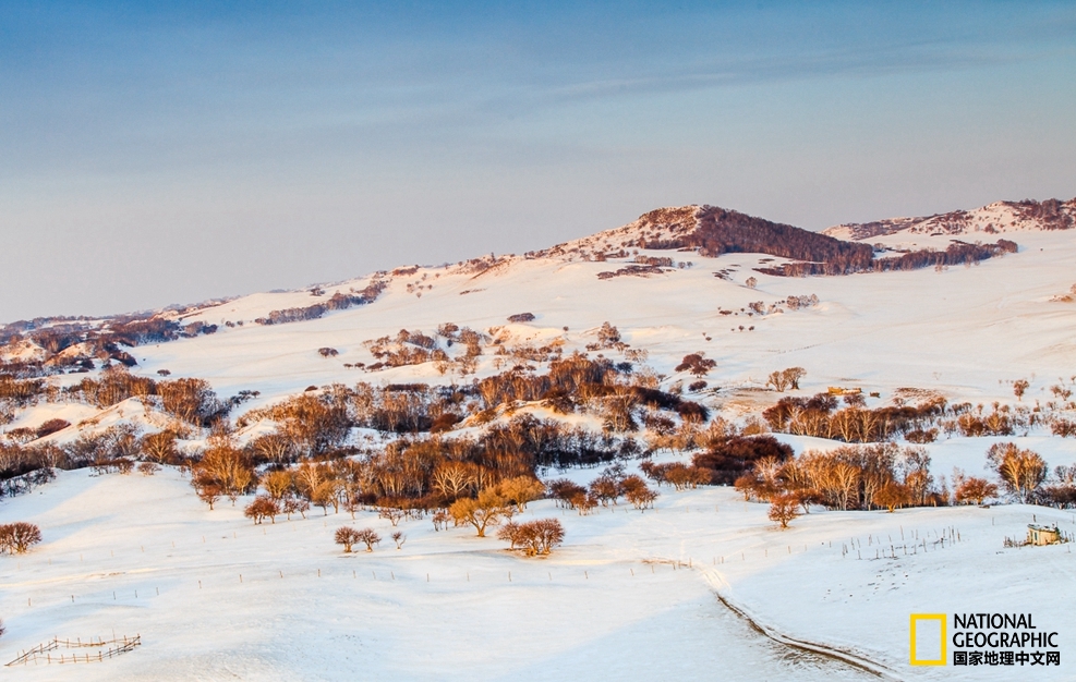 趁冬天还没有来临之前去一趟,一起到坝上去看雪