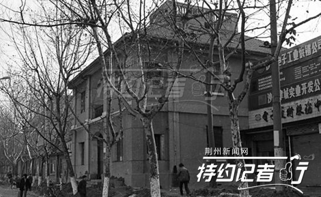 特约记者行郁金香完整版,特约记者行最新视频