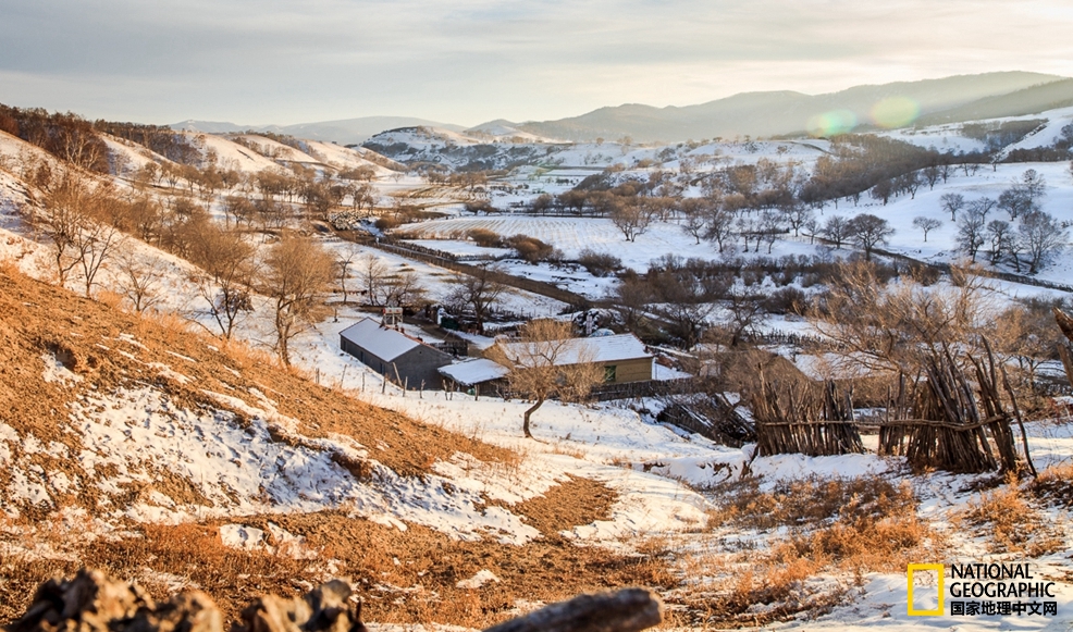 趁冬天还没有来临之前去一趟,一起到坝上去看雪