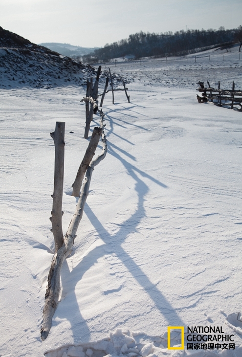 趁冬天还没有来临之前去一趟,一起到坝上去看雪