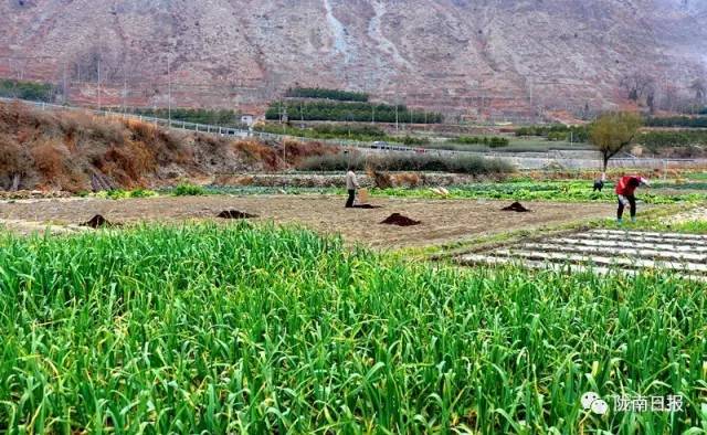 陇南市凝心聚力砥砺前行,陇南奋进新时代