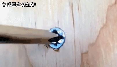 实用螺丝拧坏怎么取一招轻松搞定,拧螺丝容易掉的小妙招
