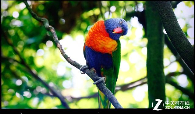 腾讯云电视盒子评测,电视盒子测评腾讯