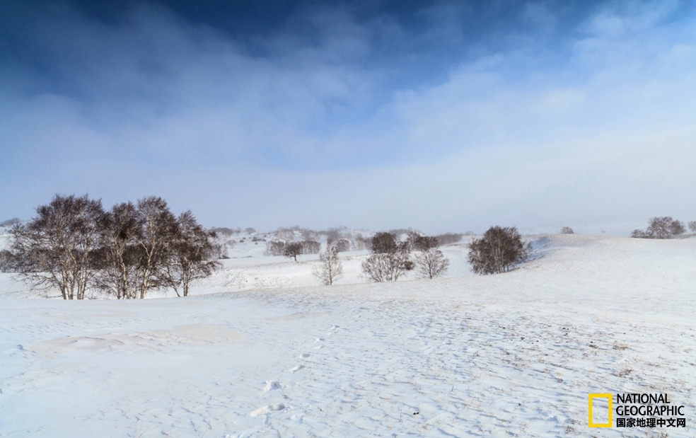 趁冬天还没有来临之前去一趟,一起到坝上去看雪