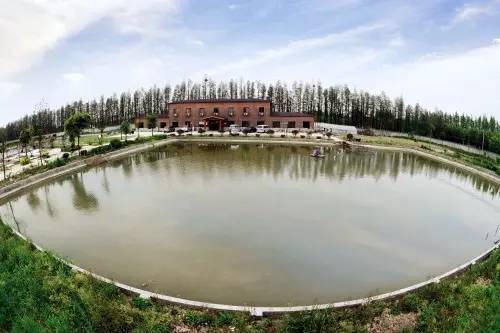 浙江小众乡村景点,江浙沪风景好的山野居住地