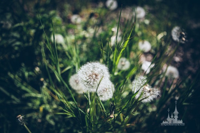 神话国度的守望（带上娃娃穿行欧亚之亚美尼亚）