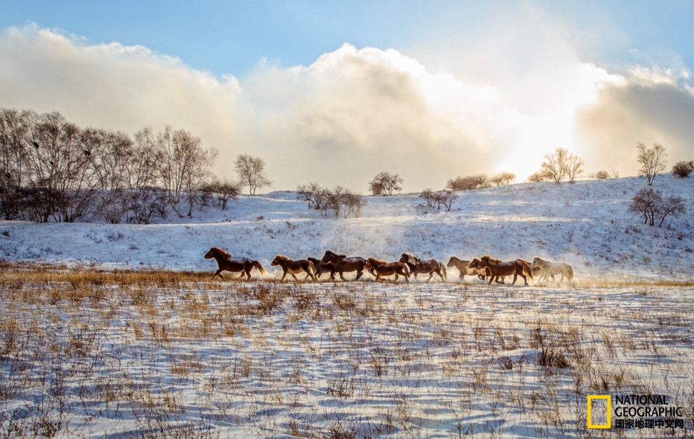 趁冬天还没有来临之前去一趟,一起到坝上去看雪