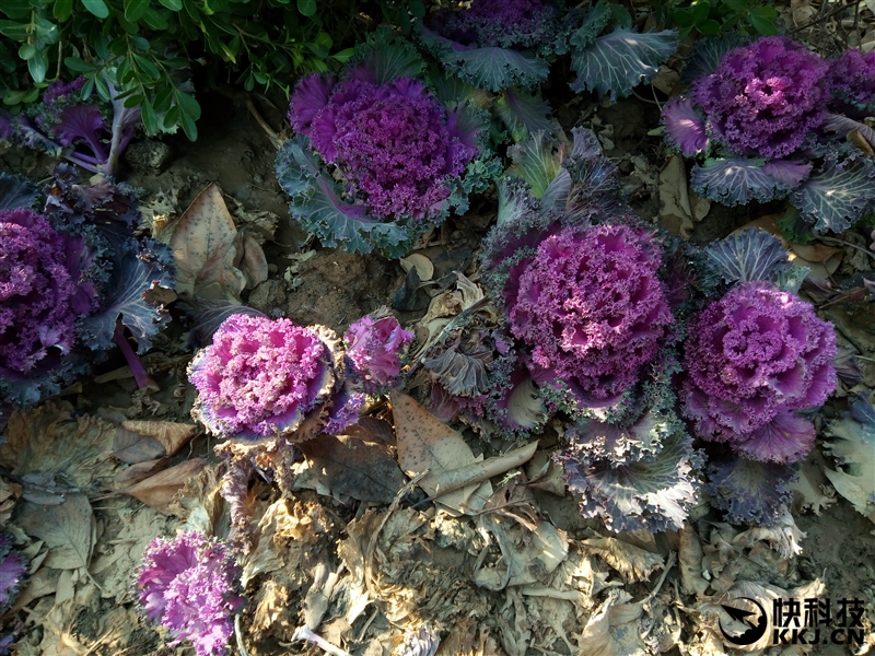 魅蓝5x测评,魅族魅蓝5s深度测评