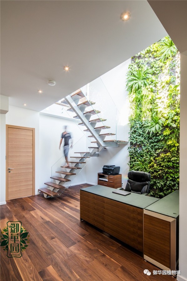 室内植物墙优缺点,摆放型植物墙设计步骤