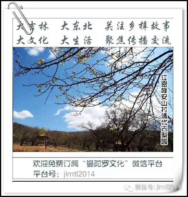 吉林省各县市往事,吉林往事电视剧