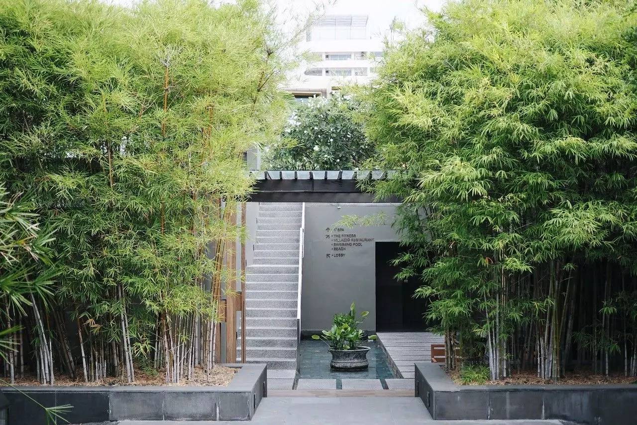 曼谷最近的海边小镇,离曼谷最近的海滨城市