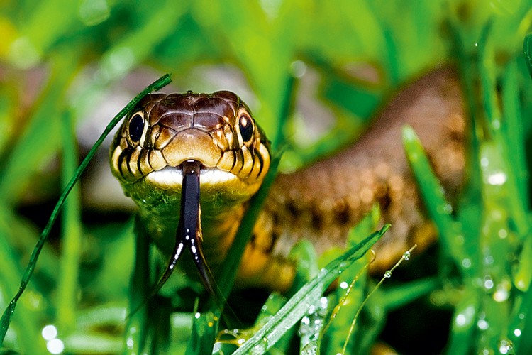 西双版纳从下飞机开始的攻略,进入西双版纳的视频