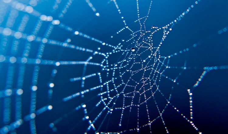 西双版纳3小时可以去哪,西双版纳五小时