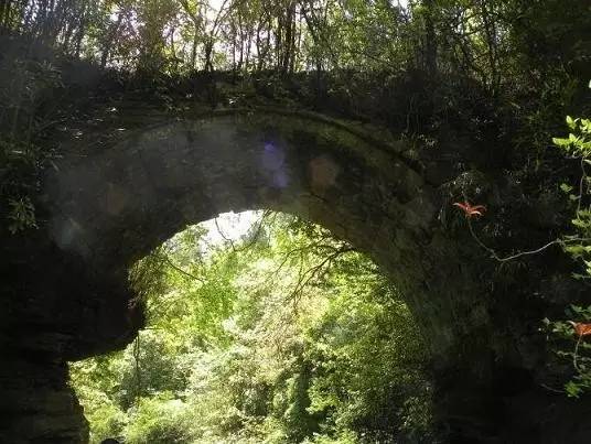 重庆最富有的8个区县 (重庆最发达的10个区县)