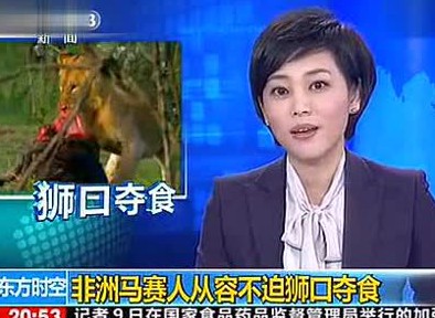 从容不迫的反义词是什么标准答案,从容不迫与从容不反的意思一样吗