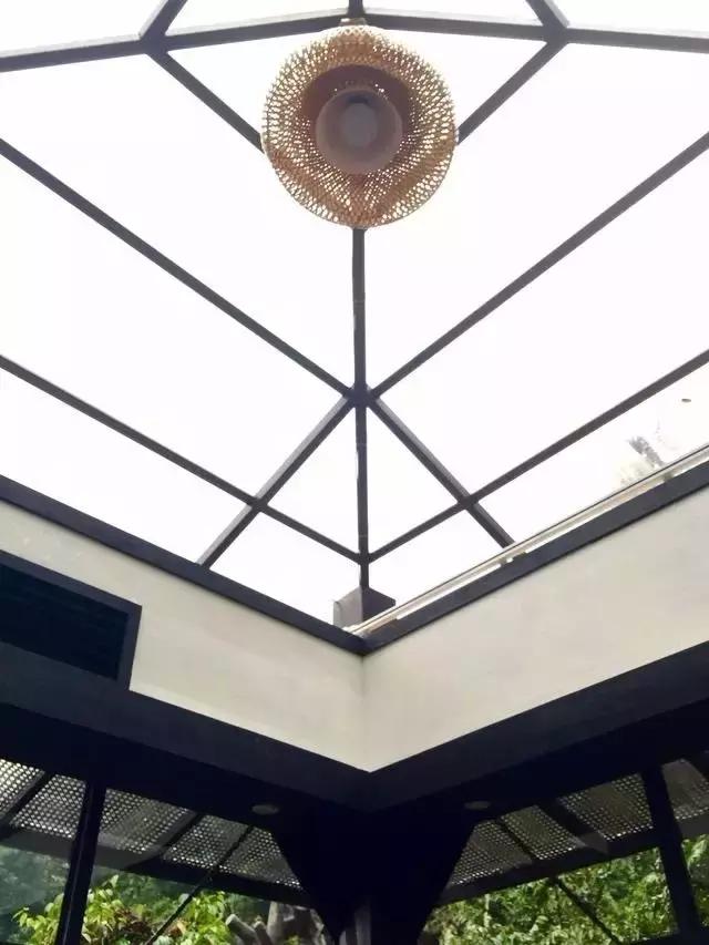 惊！艳！清远这片森林惊现空中吊屋！来过你再也不想回家