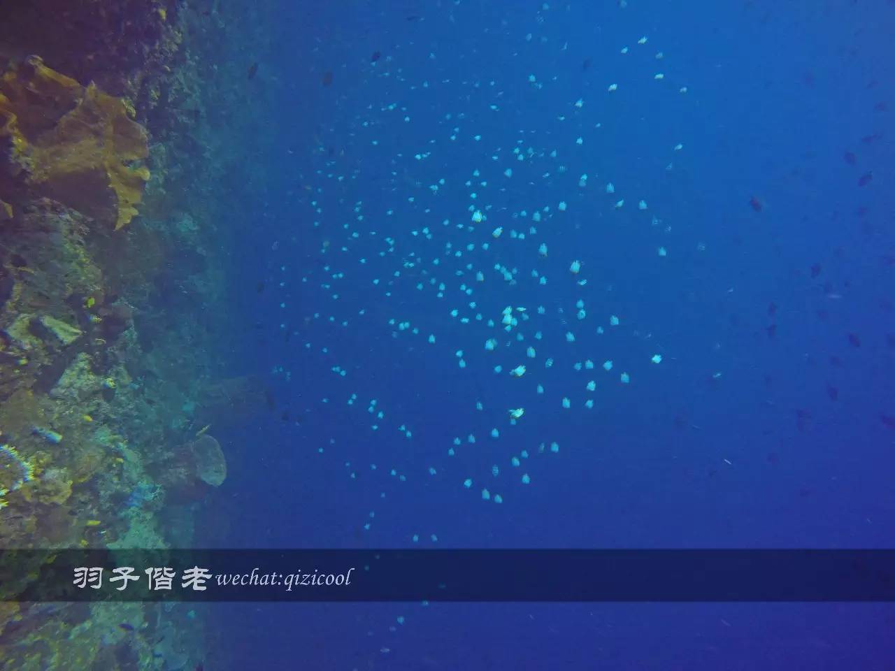 美娜多海岛一日游,印尼美娜多跟团游