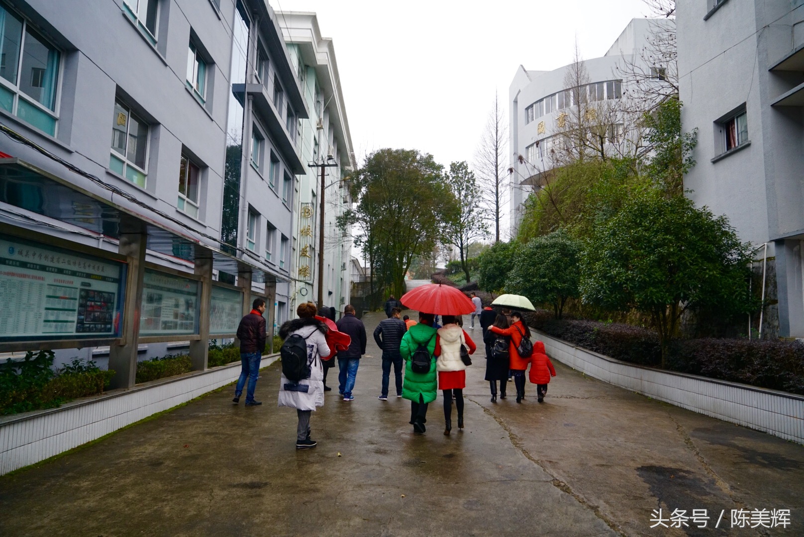 二十年再相聚青春依旧,二十年后再相会完整版视频