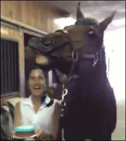 十条笑话：今天闺蜜生日，我决定送她一条520克的铝合金项链