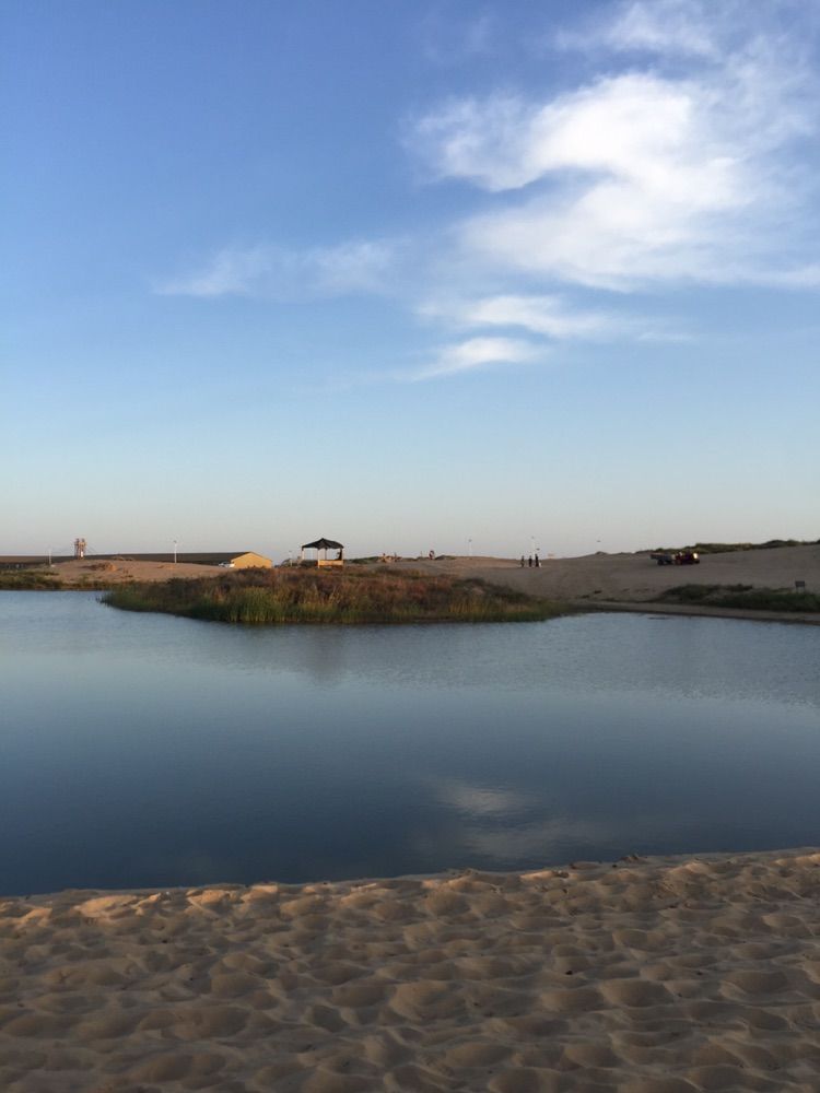 我爱远方风景,我爱远方和自由