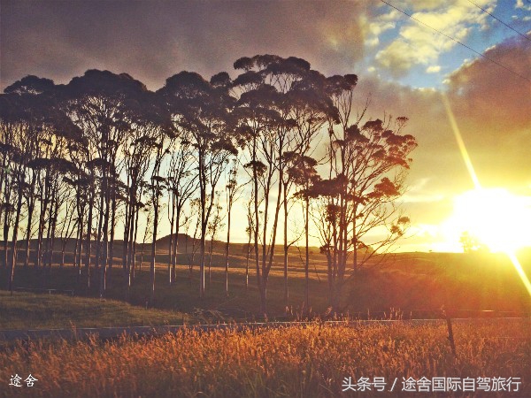 新西兰旅游游记,4月新西兰游记