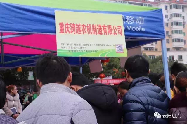 云阳公益性岗位招聘,云阳县2024年人才引进